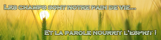 Les champs sont notre pain de vie… Et la parole nourrit l’esprit !